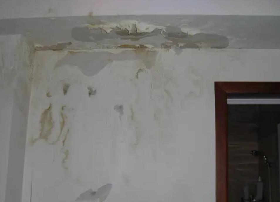 广州房屋防水多少钱