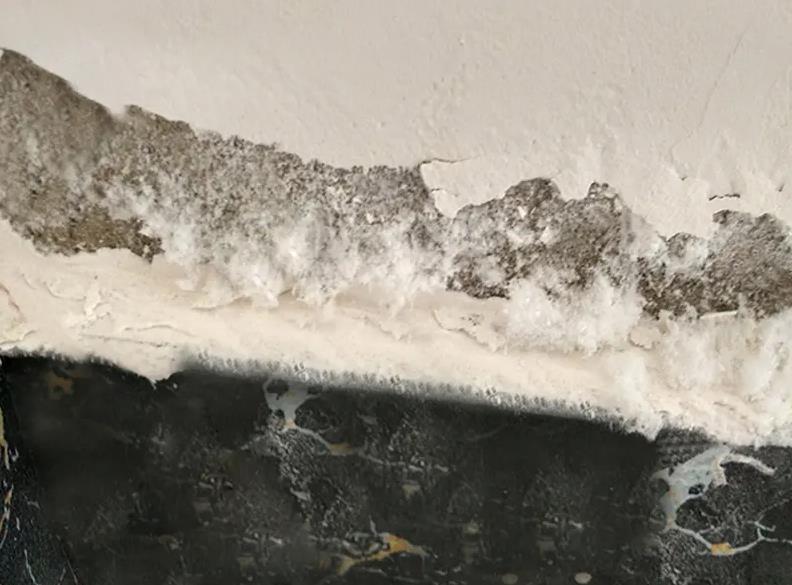 广州室内墙面防霉防水